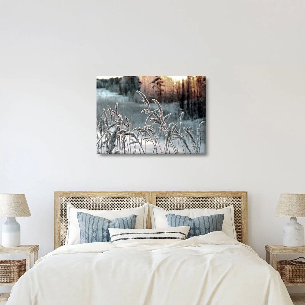 Kép - Fagyott rét (70x50 cm)