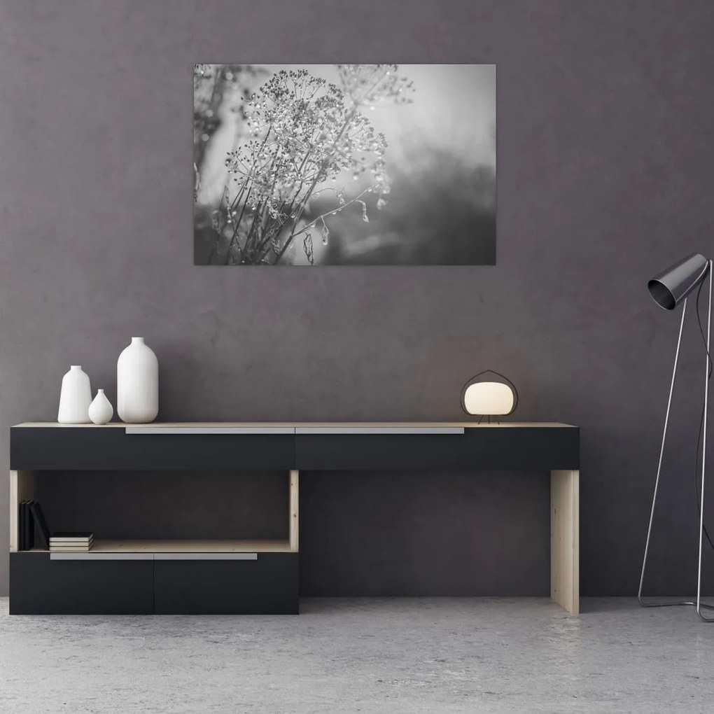 Kép - Mező az eső után (90x60 cm)