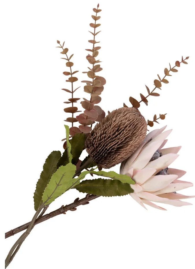 Protea művirág csokor 65 cm