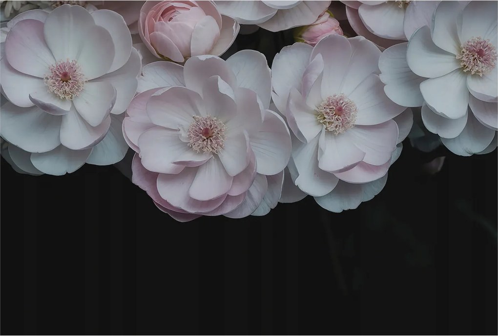 Divatos Flizelin Tapéta Ragasztóval Fali 3D Finom csokor 104x70 Ragasztó