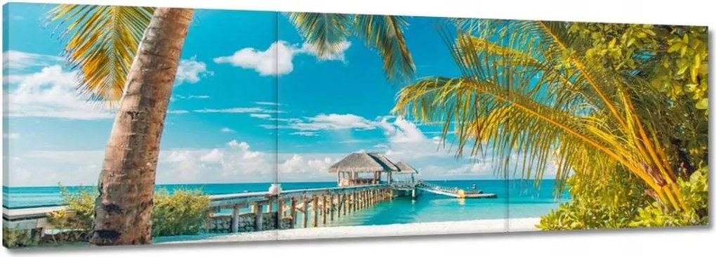 Vászonkép 120x40 Trópusok Tájkép Pálma