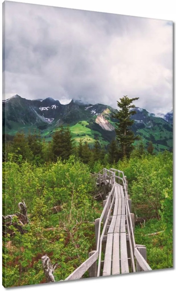 Festmények 70x100 Híd Építészet Tájkép