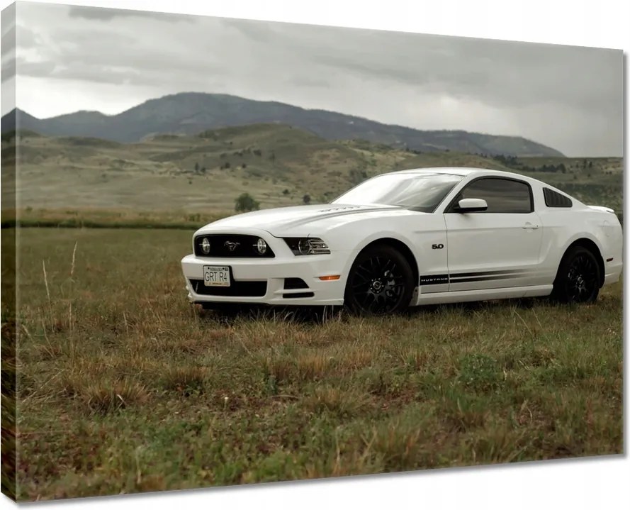 Vászonkép 80x60 Fehér Ford Mustang