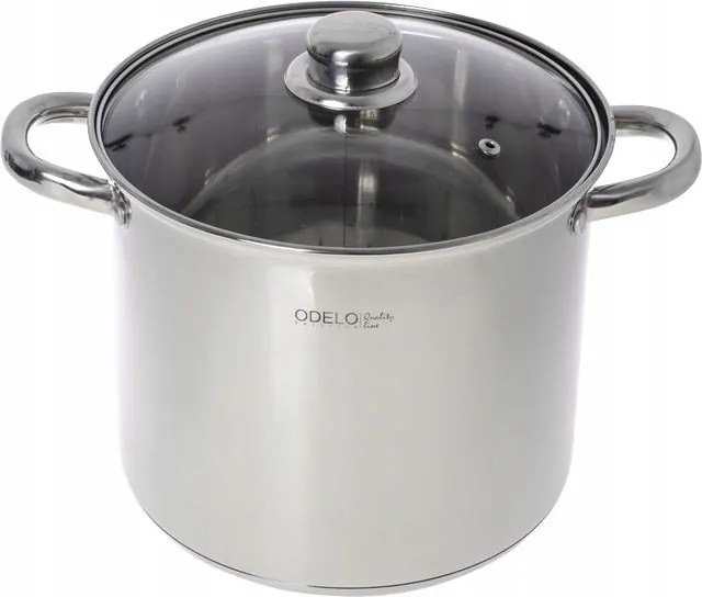 Vicco fazék fedővel fényes 11L Odelo 26cm