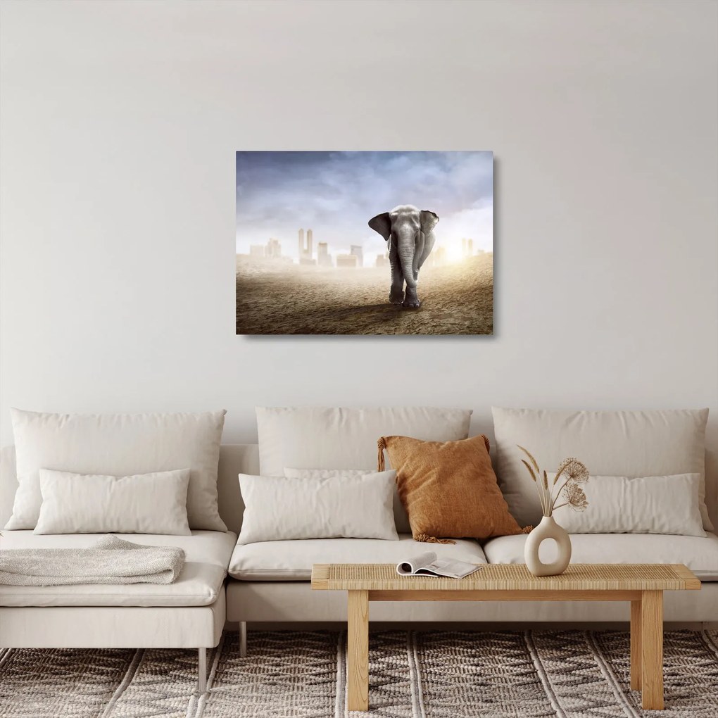 Kép - Elefánt egy nagyvárosban (üvegen) (70x50 cm)