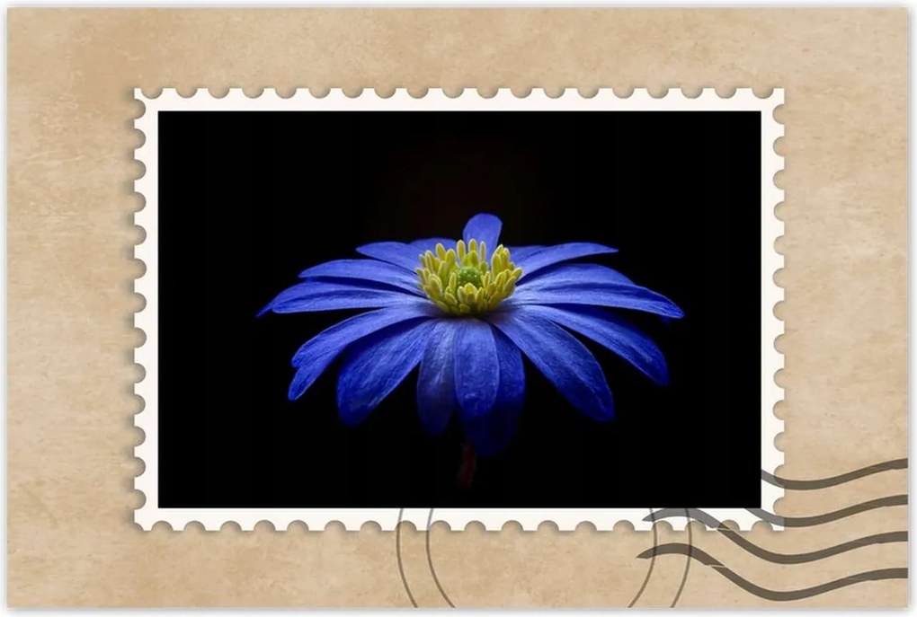 Poszter 60x40 Kék virág