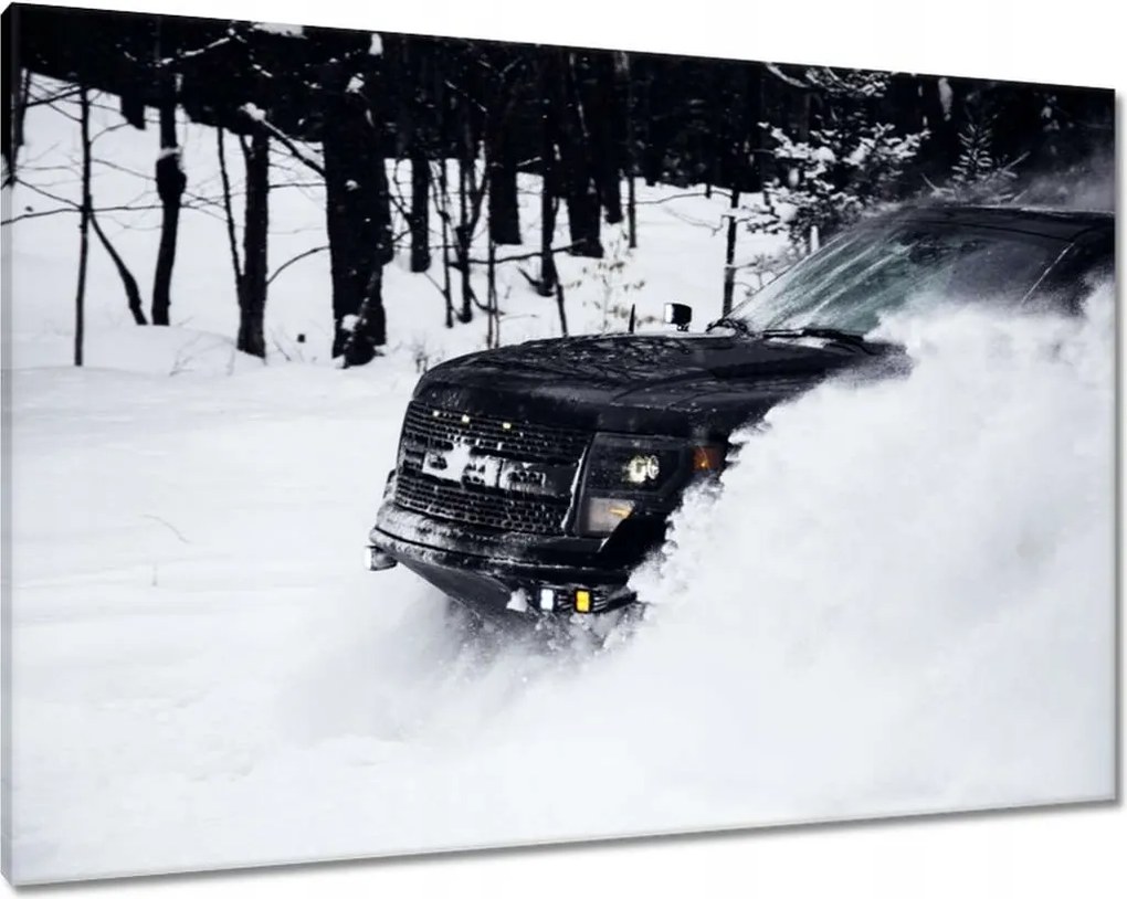 Vászonkép 100x70 Szórakozás a hóban Tél