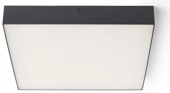 RED - Design Rendl - R13490 - LED Mennyezeti lámpa LARISA LED/50W/230V fekete