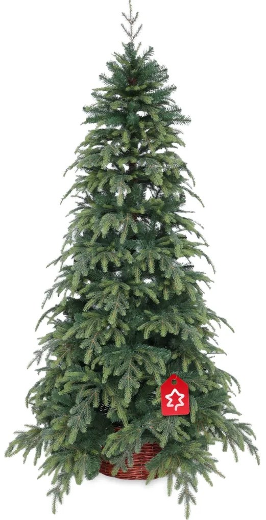 Natura lucfenyő 3D 180 cm