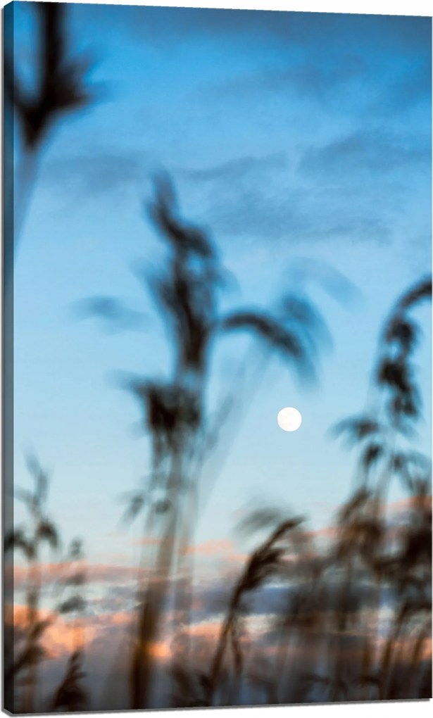 Vászonkép Természet Mező Rét Napfelkelte 60x100