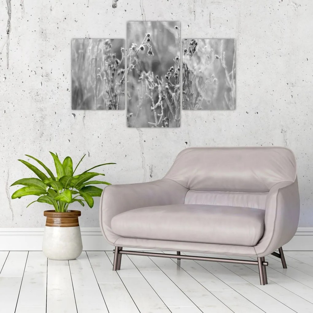 Kép - Wild Meadow (90x60 cm)