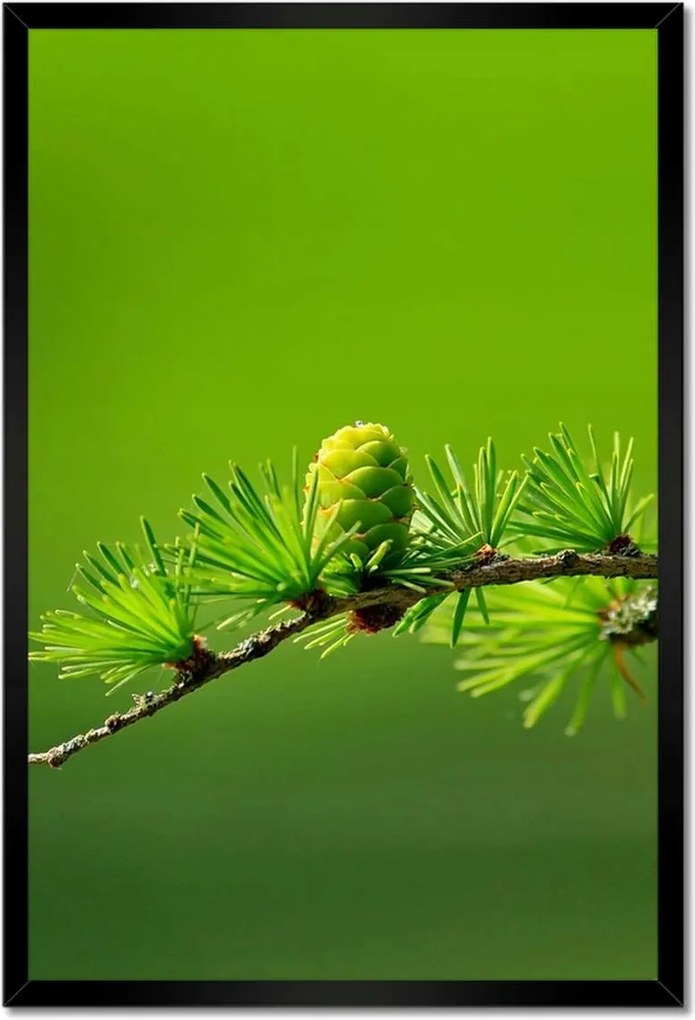 Poszterek keretben 40x60 Fa Kilátás