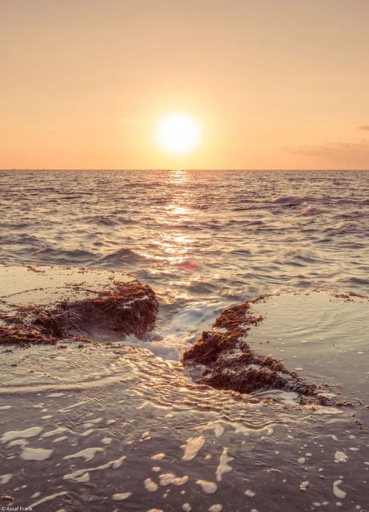 Poszter 20,5x28,4cm Naplemente a tengerparton, Assaf Frank