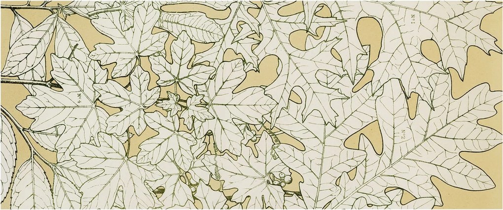 Flizelin tapéta Divatos 3D fali ragasztóval Falevelek 250x104 Ragasztó