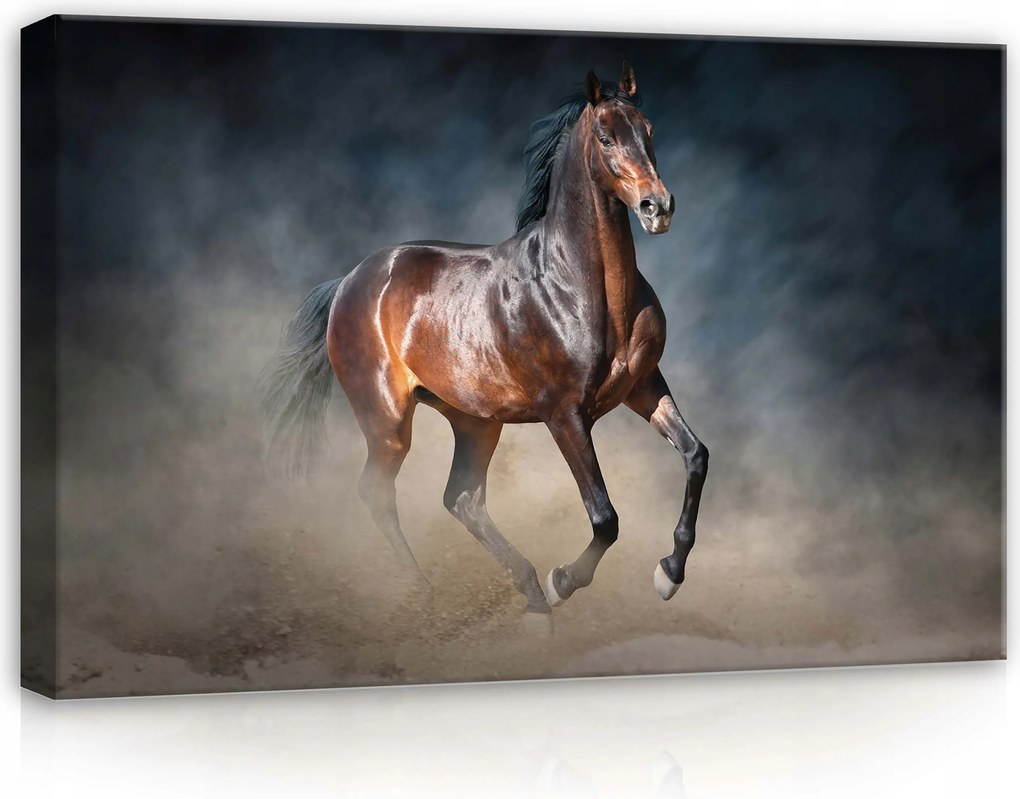 Vászonkép 60x40 Ló mozgás por szabadság erő dinamika energia kecsesség erő sötét