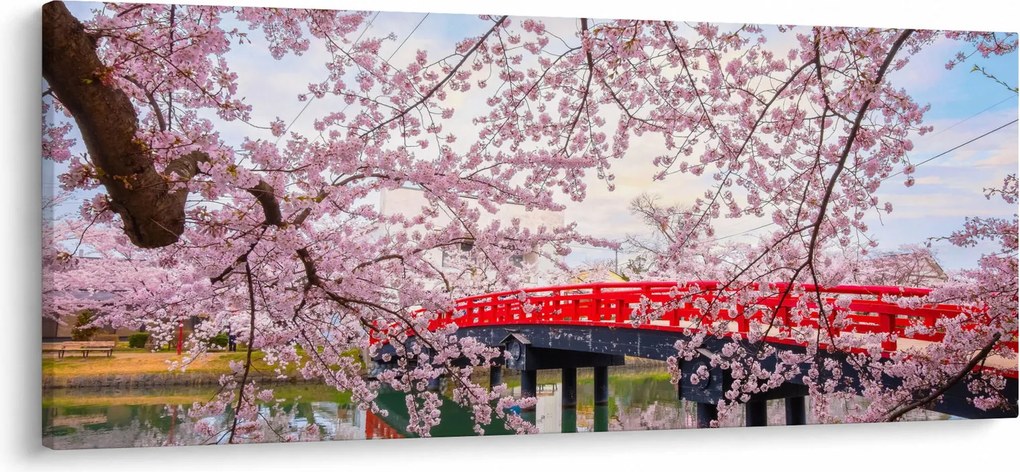 Kép - Hirosaki, Japán (120x50 cm)