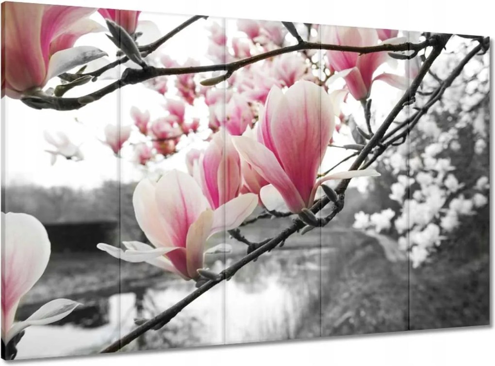 Vászonkép 100x70 Magnólia Virágok