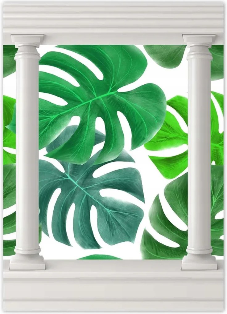 Poszterek 50x70 Levelek Monstery Trópusok