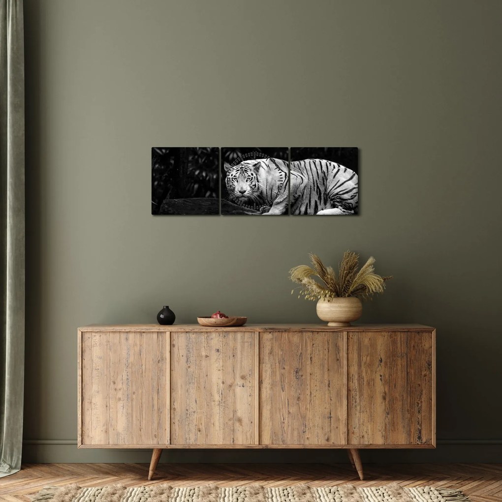 Kép - albínó tigris, fekete-fehér (órával) (90x30 cm)