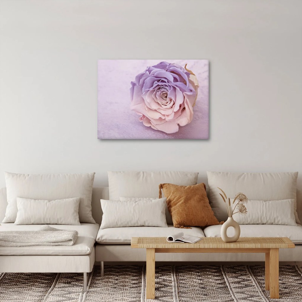 Vászonkép - Egy rózsa virág részlete (70x50 cm)
