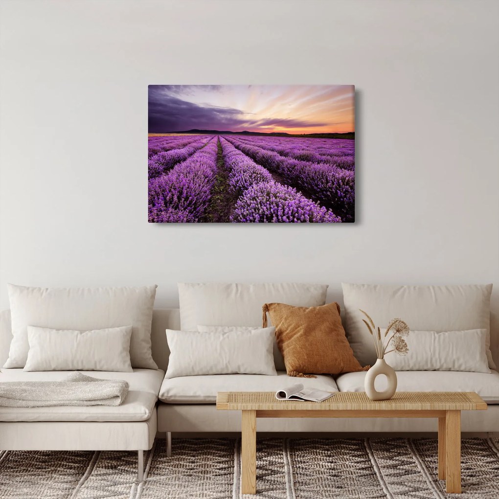 Kép - Levendulamező naplementében (90x60 cm)