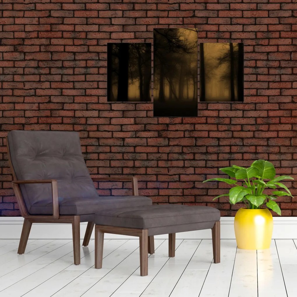 Kép - Sötét erdő (90x60 cm)