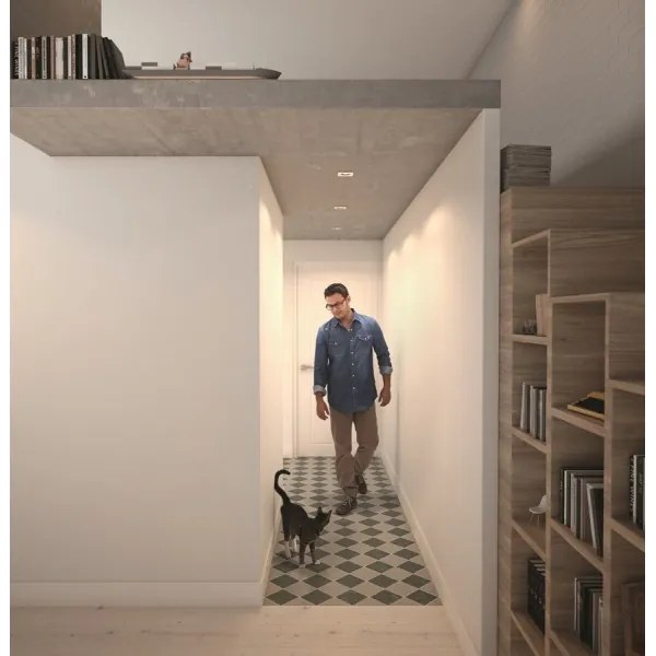 Philips 50393/11/P0 - KÉSZLET 3xLED Szabályozható lámpa SHELLBARK LED/4,5W/230V