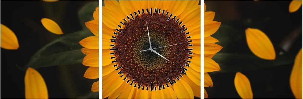 Kép - Napraforgók és a virágszirmok (órával) (90x30 cm)