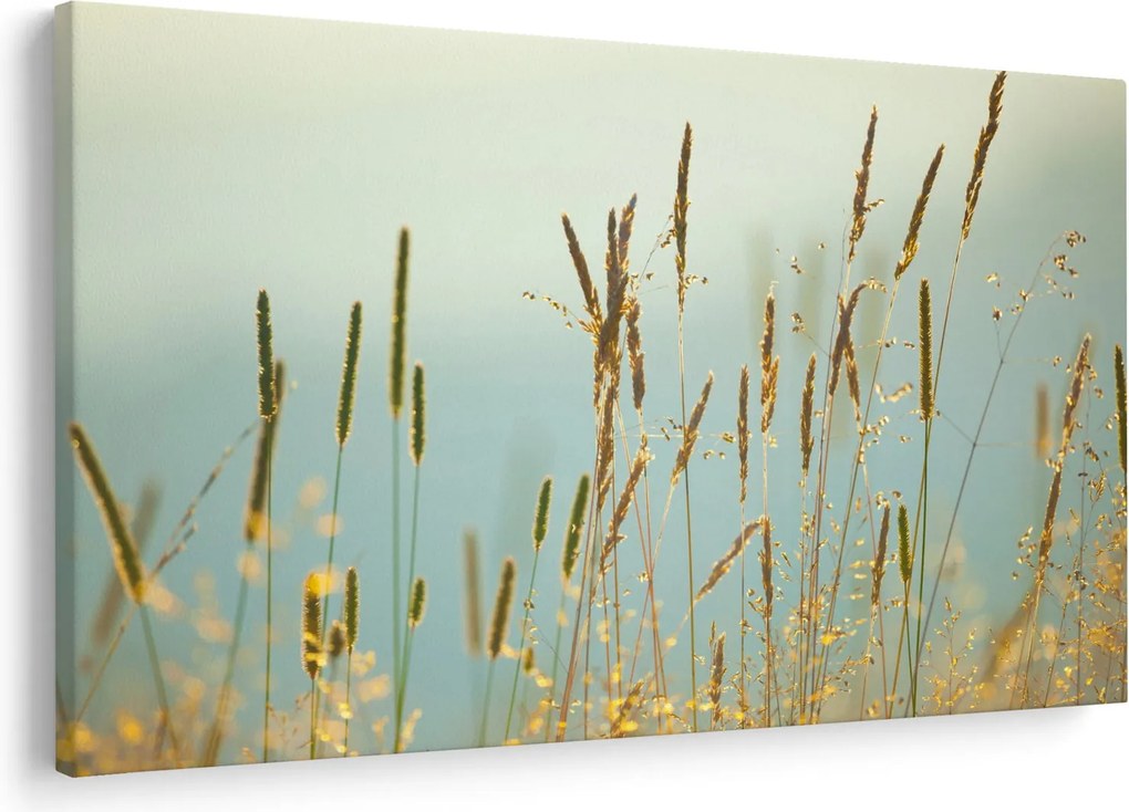 Kép - Réti pillanat (90x60 cm)
