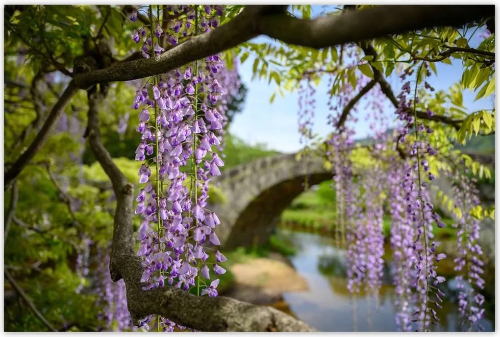 Poszterek 120x80 Japán Orient Buddhizmus