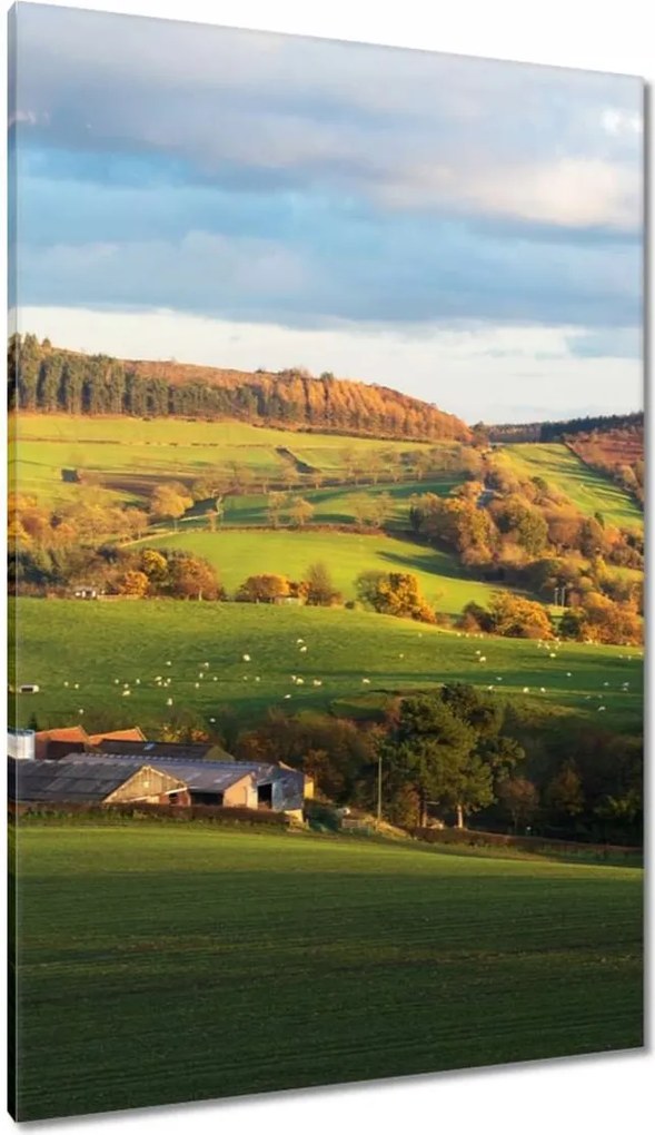 Festmények 80x120 Hegyi völgy