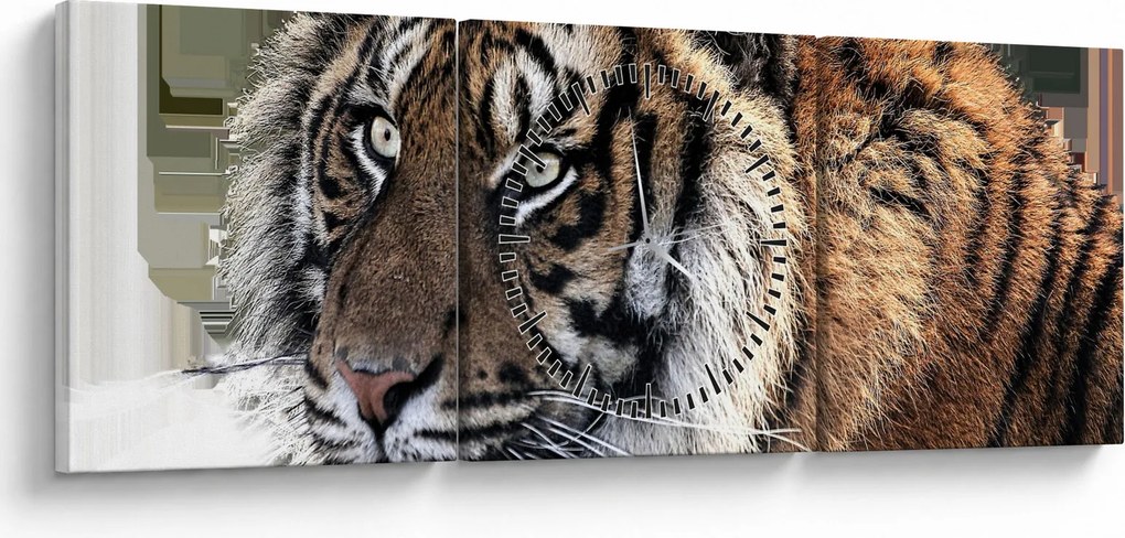 Tigris képe (órával) (90x30 cm)