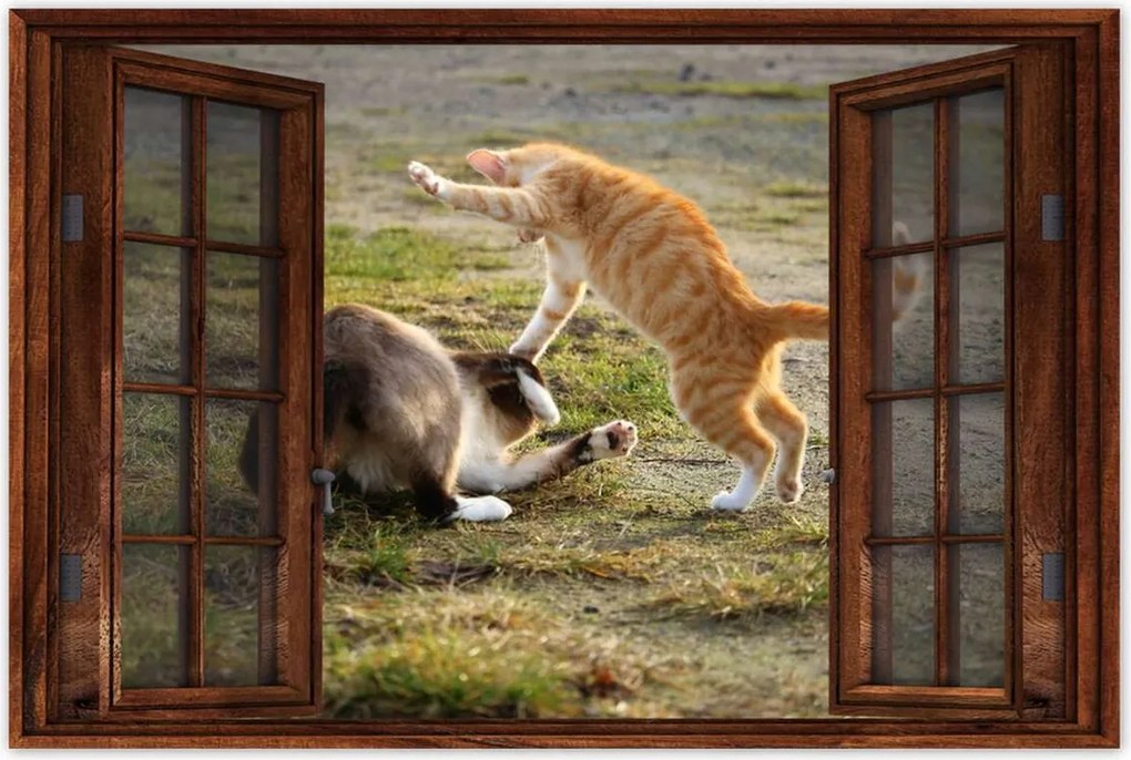 Poszterek 120x80 Cica Cicák