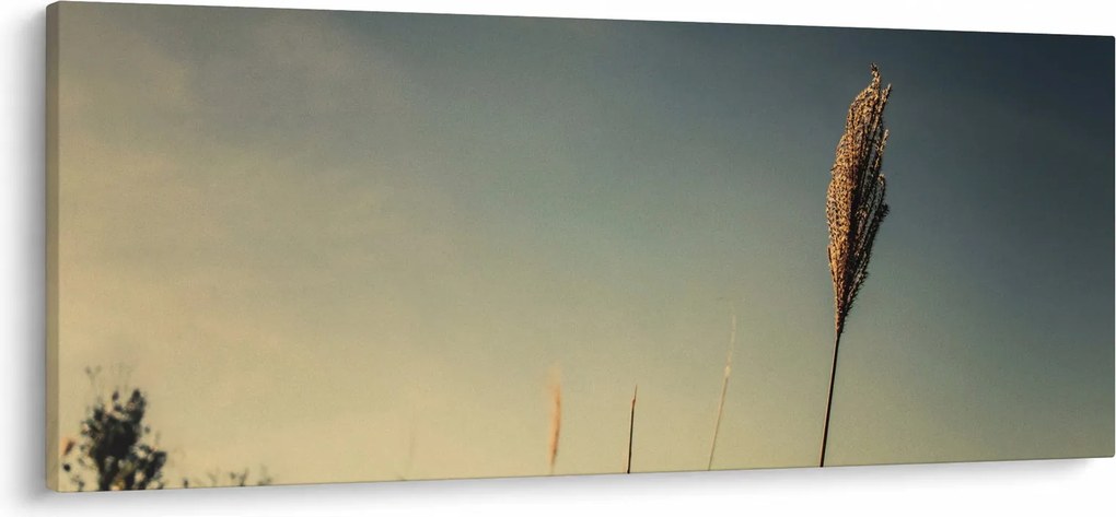 A fű képe (120x50 cm)