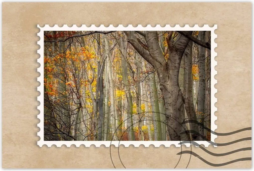 Poszterek 60x40 Tájkép Látvány