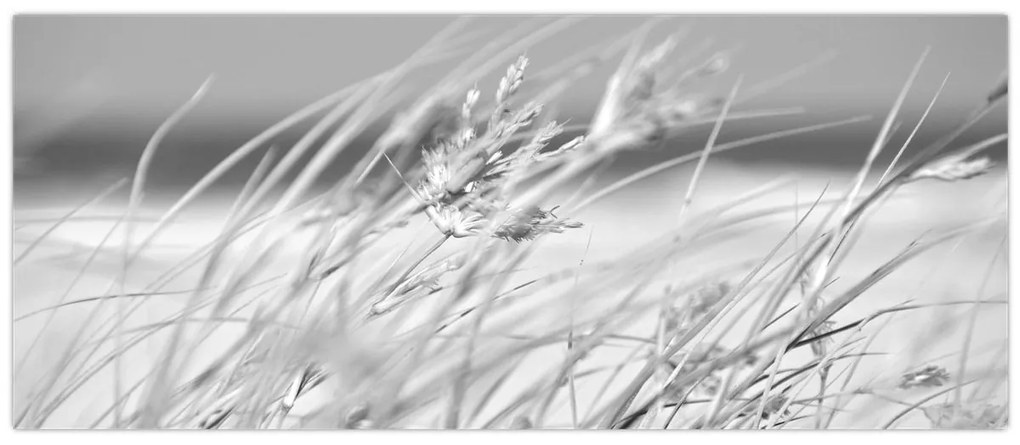 Kép - Strandfű (120x50 cm)