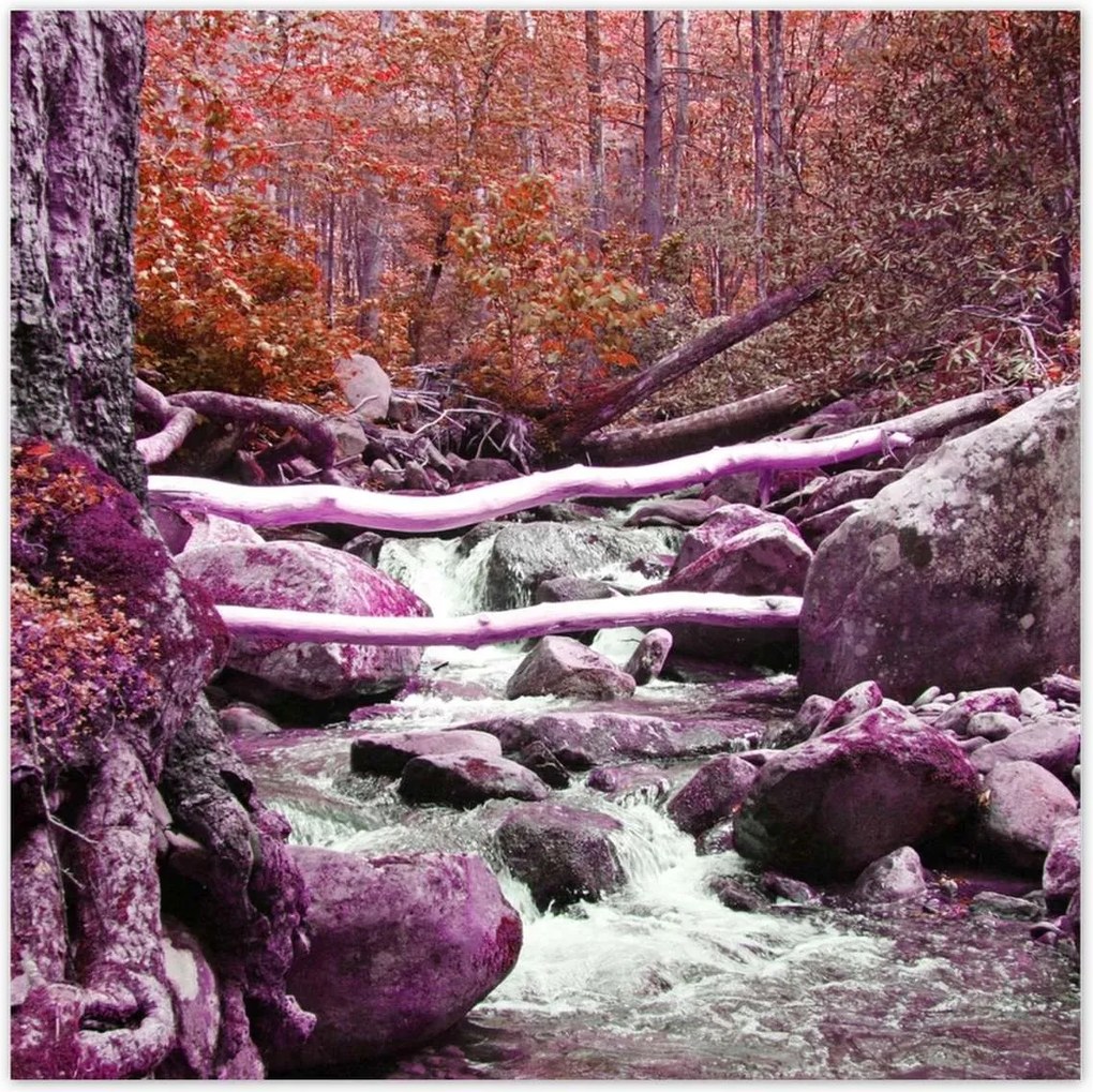 Poszterek 100x100 Lila zuhatag