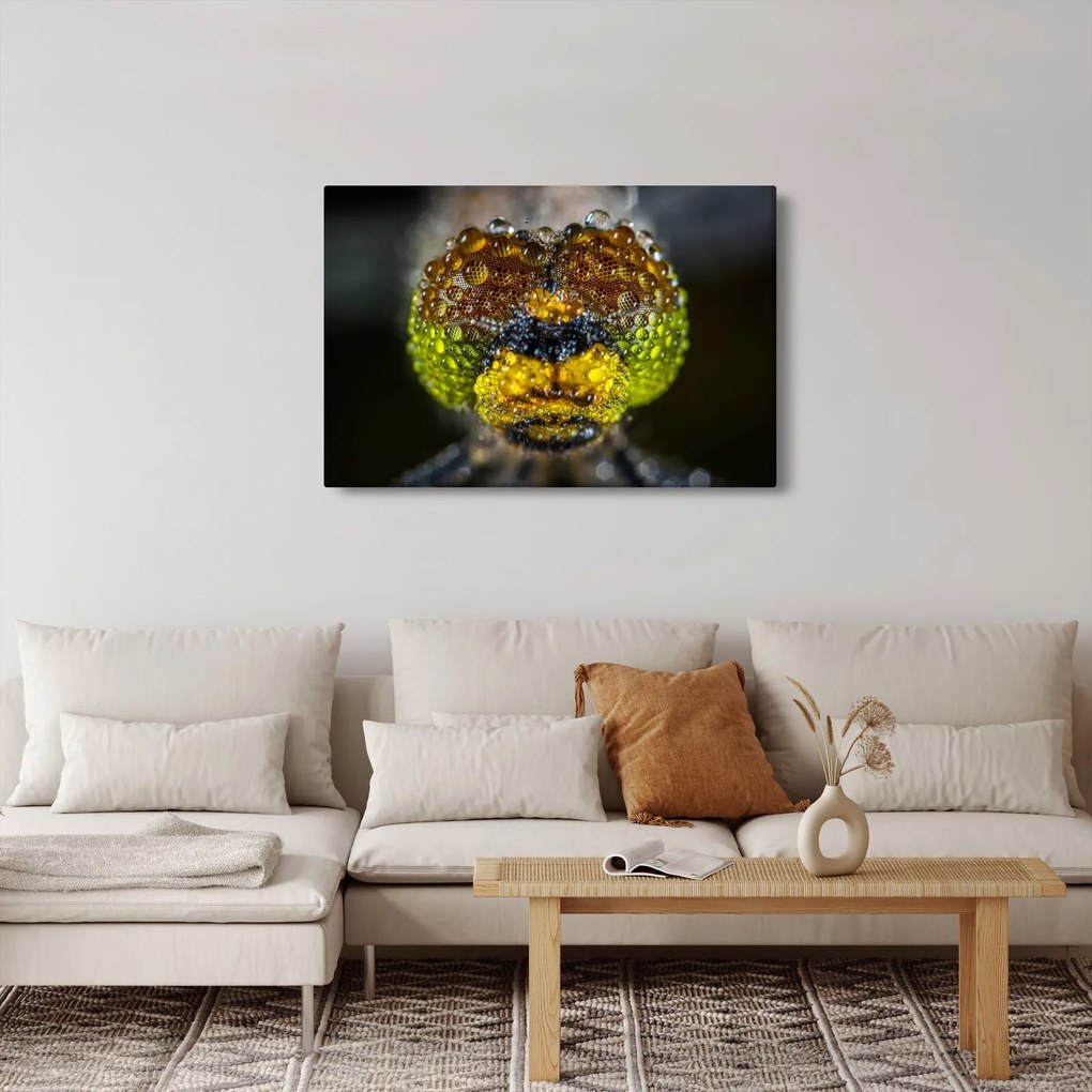Részletes kép a rovar szemről (90x60 cm)