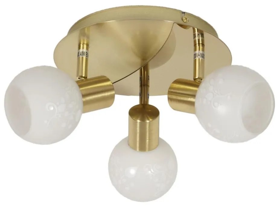 Spotlámpa AVILA 3xE14/40W/230V