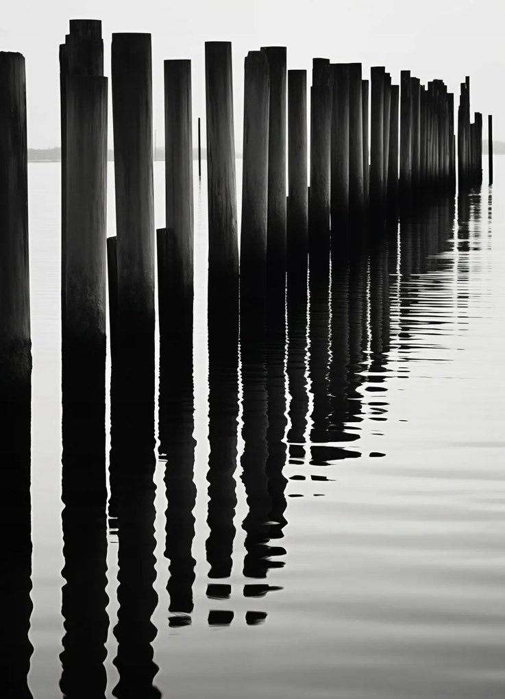 Poszter 13x18cm Víz és fa ritmusa