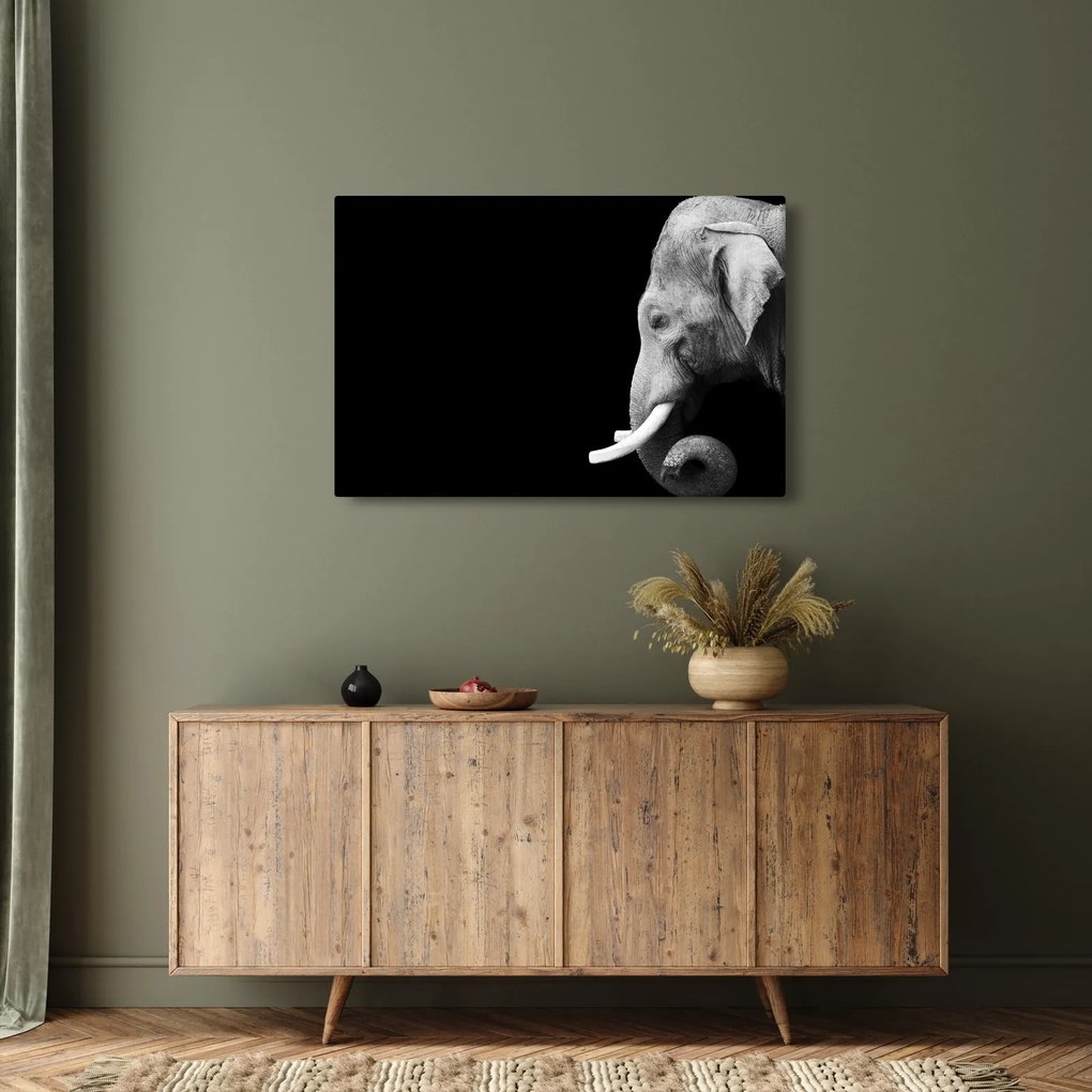 Kép - Elefánt (90x60 cm)