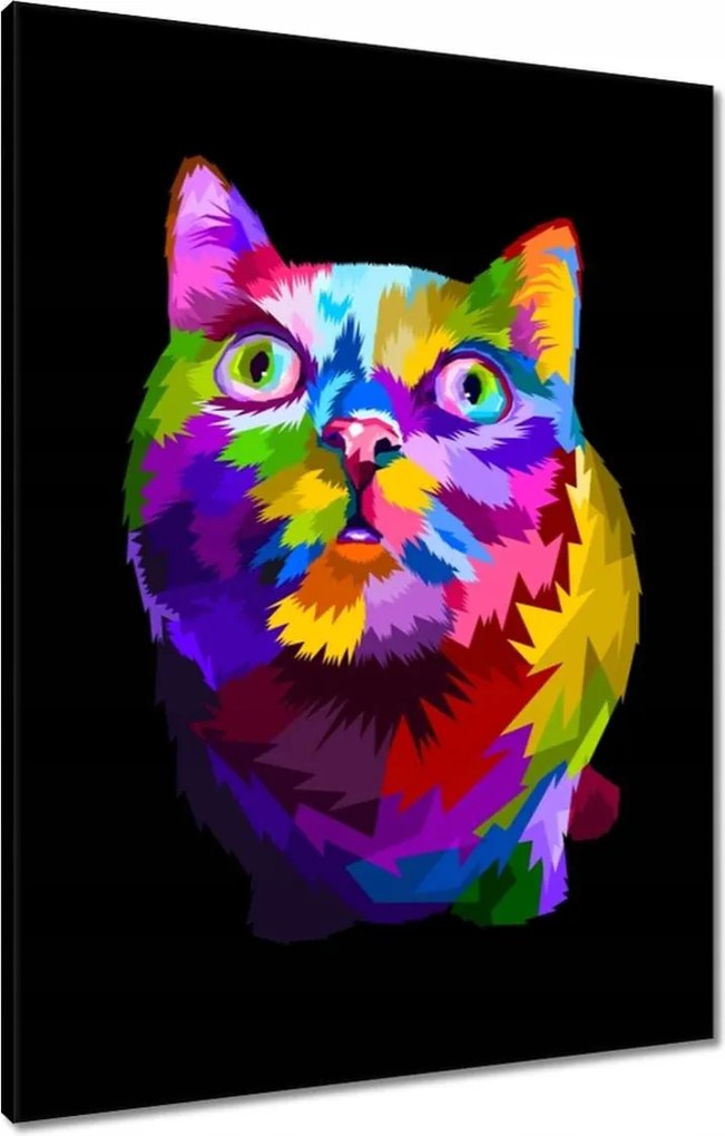 Vászonkép 60x80 Absztrakt macska