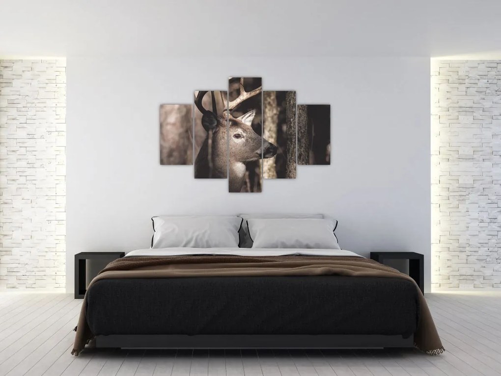 Kép - Szarvas az erdőben (150x105 cm)