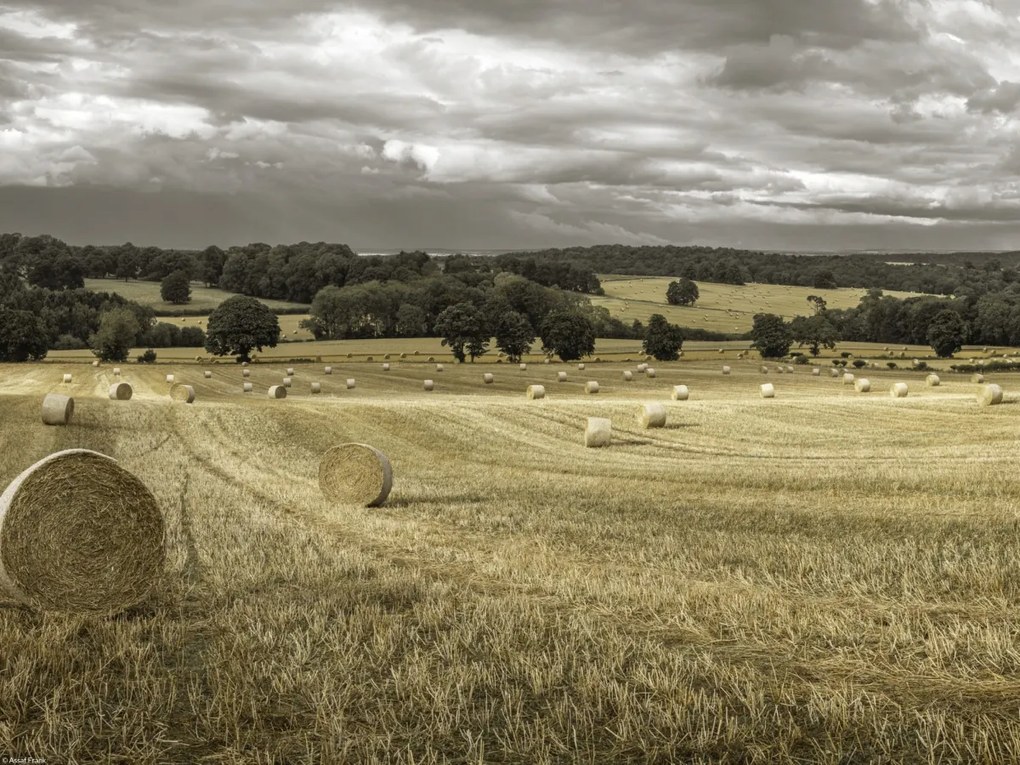 Poszter 40x30cm Szénakazalok a mezőkön 3, Assaf Frank
