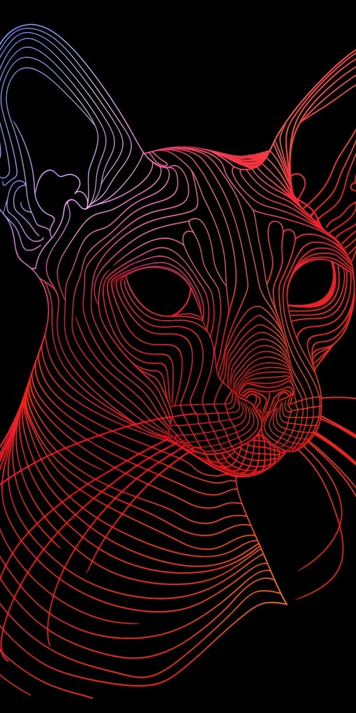 Poszter 50x100cm Digitális macska