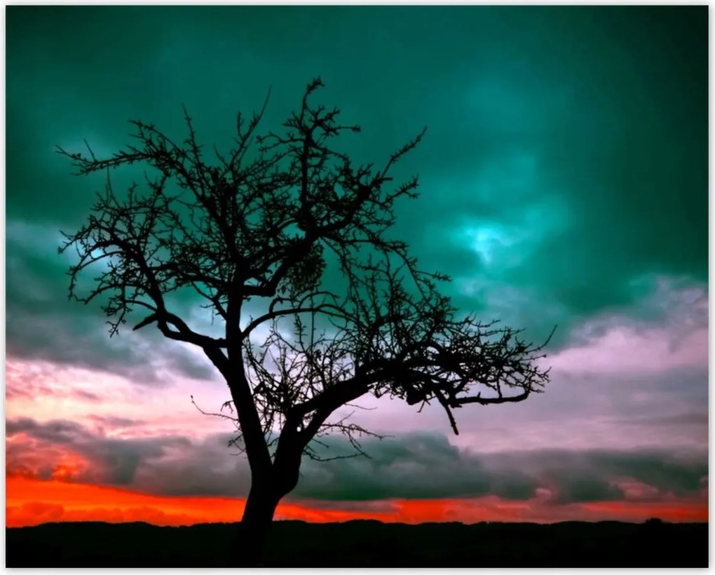 Poszterek 50x40 Naplemente a sivatagban