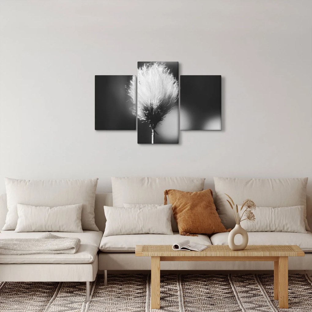 Kép - Fekete-fehér pamutfű (90x60 cm)