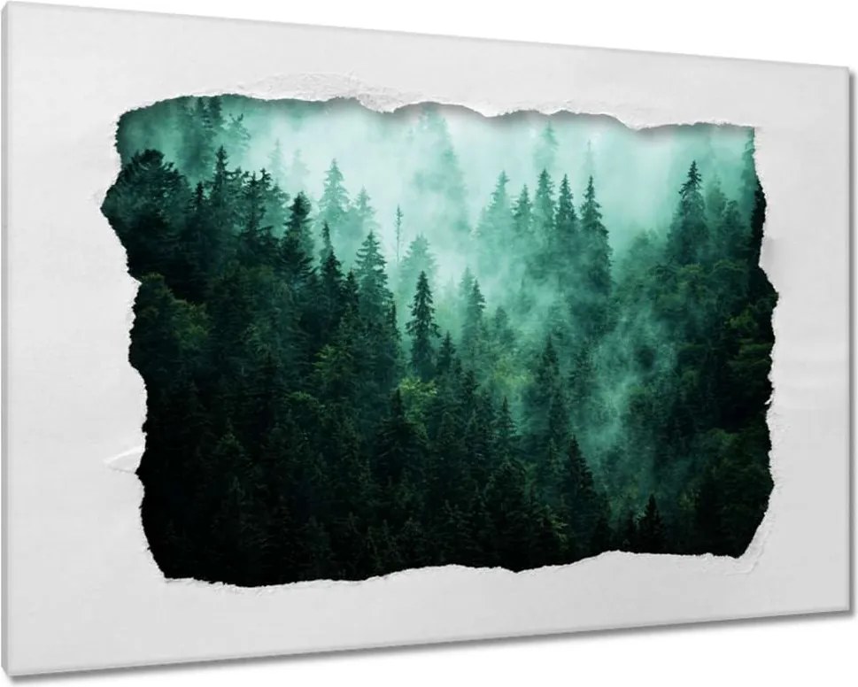 Festmények 120x80 Erdő Köd Tájkép Utazás