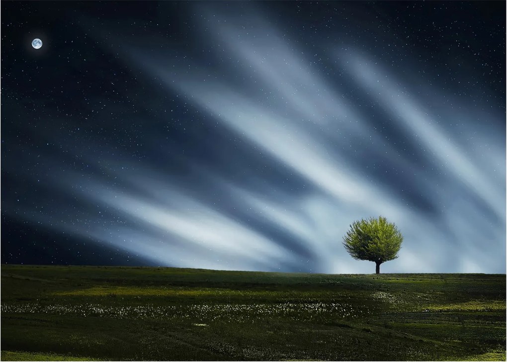 Az aurora borealis képe egy lápvidéken (70x50 cm)