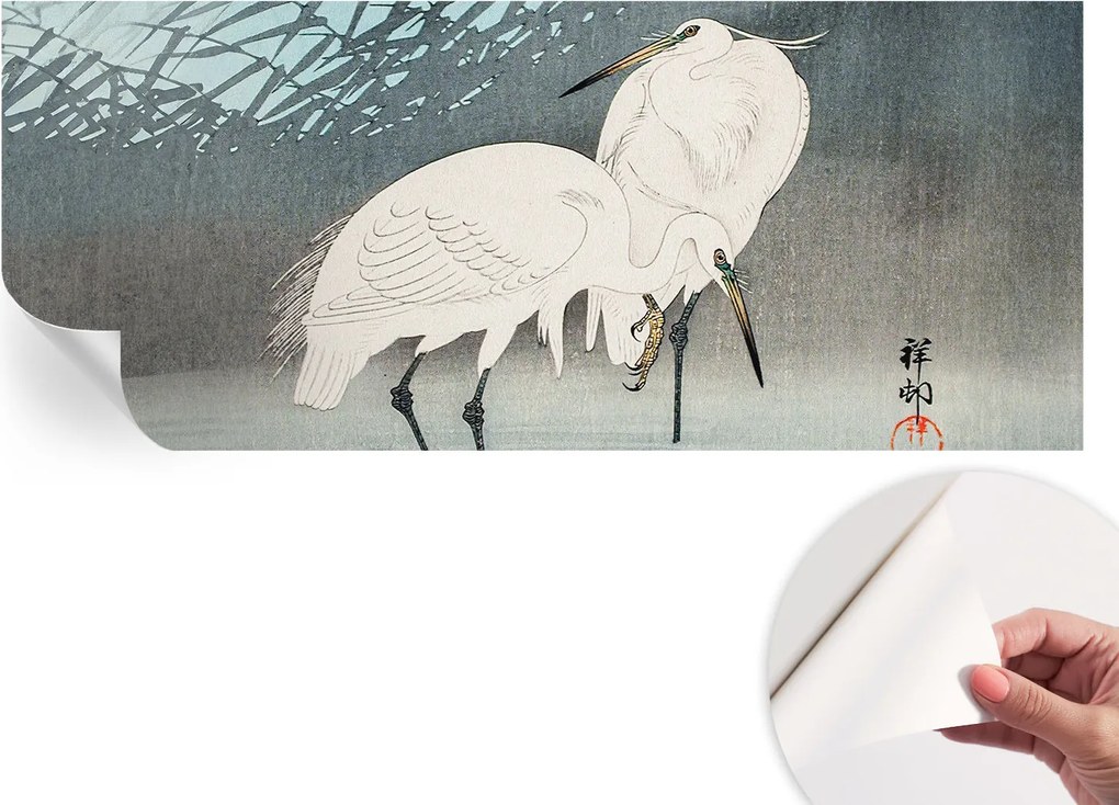 Öntapadós tapéta Divatos 3D fali ragasztóval Finom madarak 250x104 cm